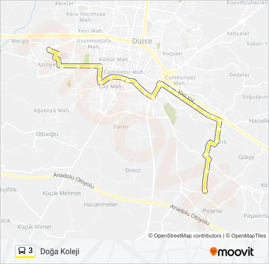 3 Bus Line Map