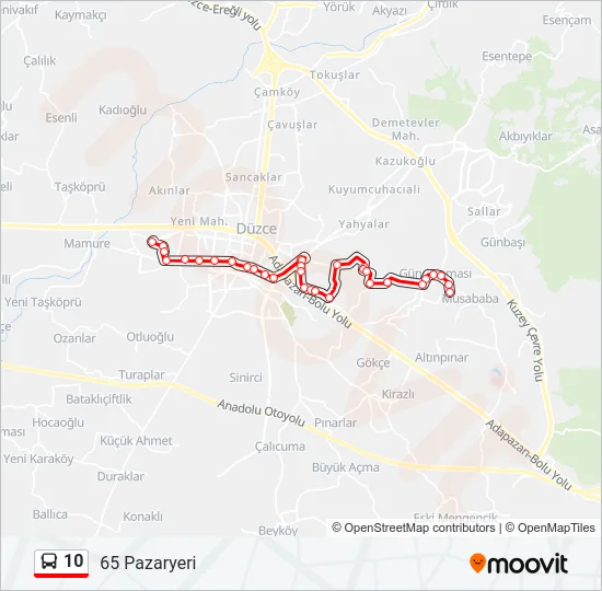 10 Bus Line Map