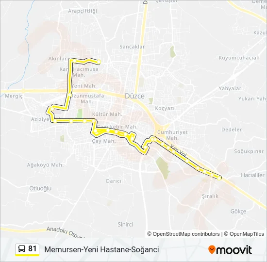 81 Bus Line Map