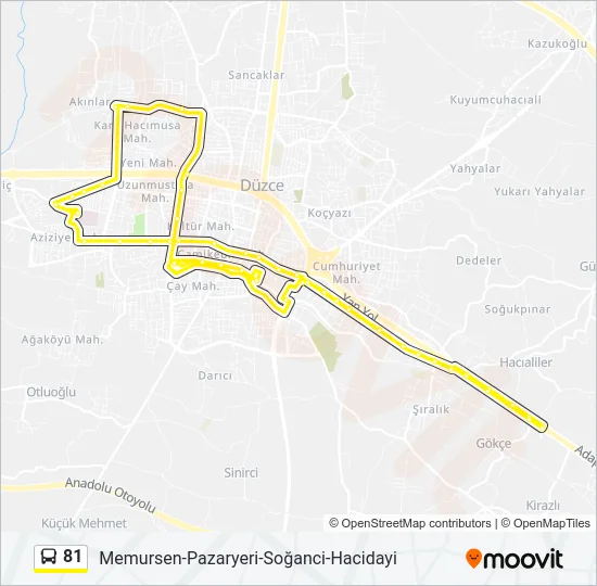 81 Bus Line Map