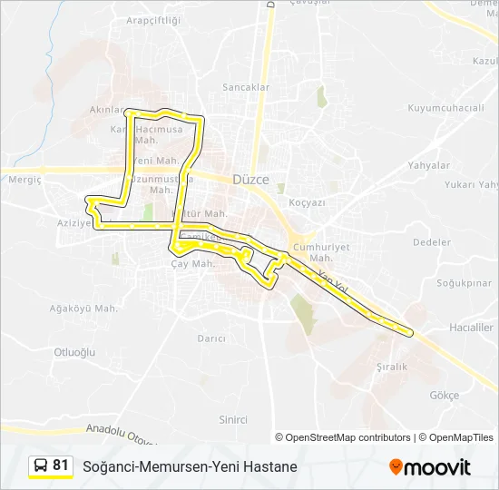81 Bus Line Map