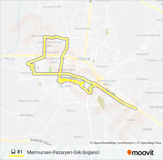 81 Bus Line Map