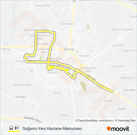 81 Bus Line Map