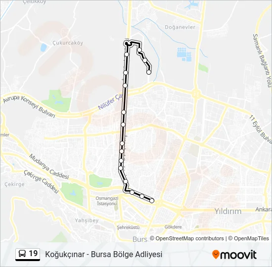 19 Bus Line Map