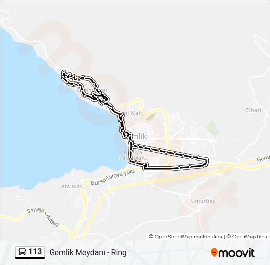 113 Bus Line Map