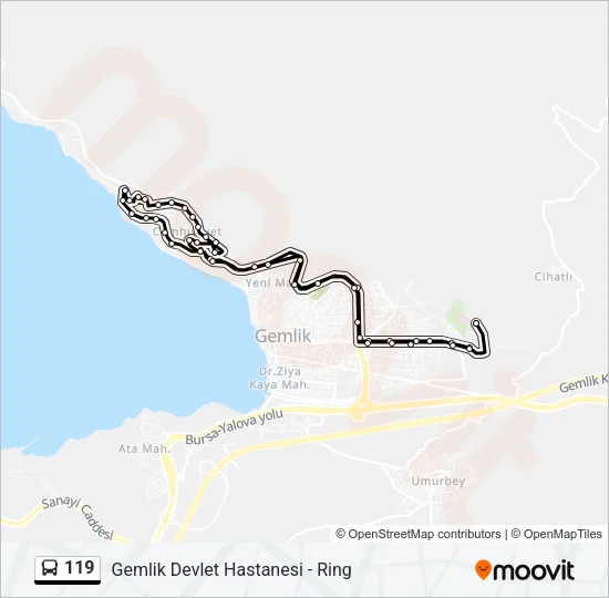 119 Bus Line Map