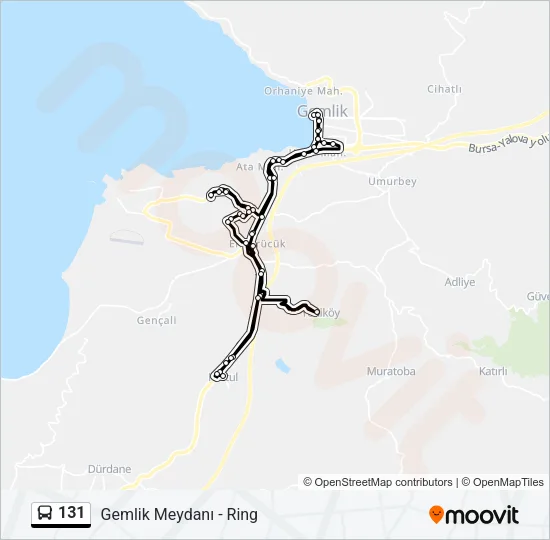 131 Bus Line Map