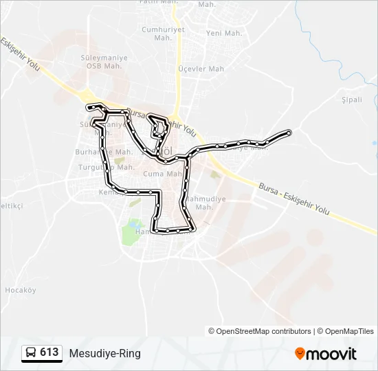 613 Bus Line Map
