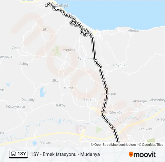 1SY Bus Line Map