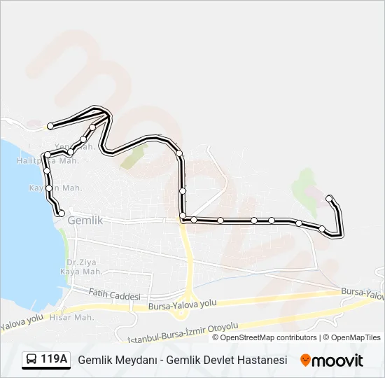 119A Bus Line Map