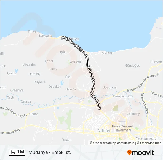 1M Bus Line Map