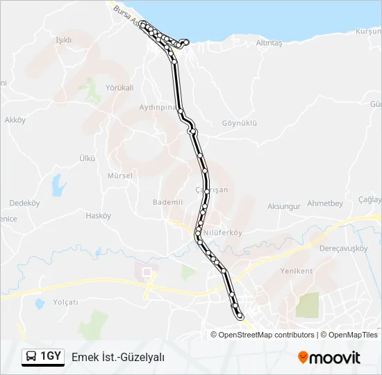 1GY Bus Line Map