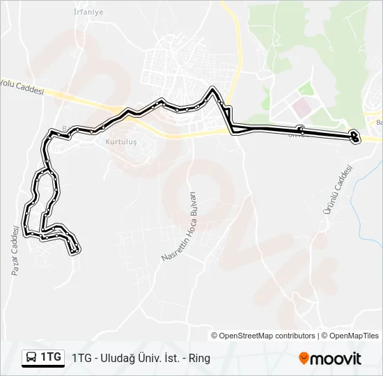 1TG Bus Line Map