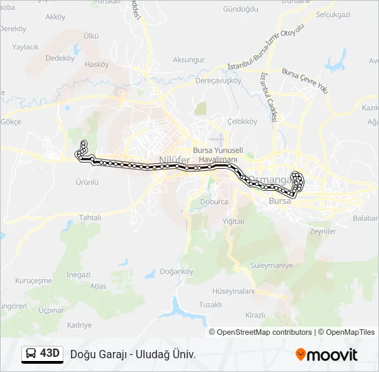 43D Bus Line Map