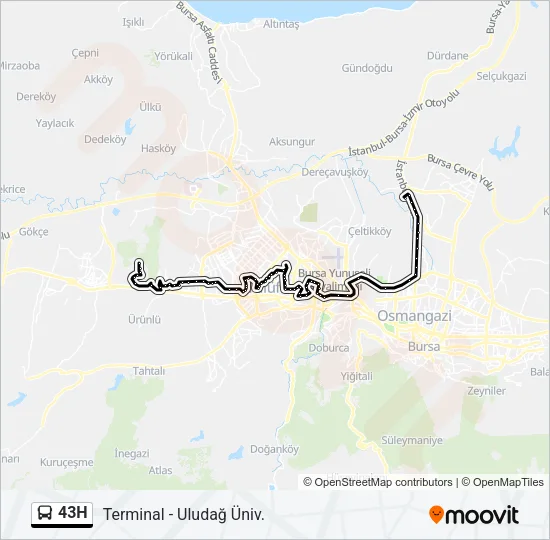 43H Bus Line Map