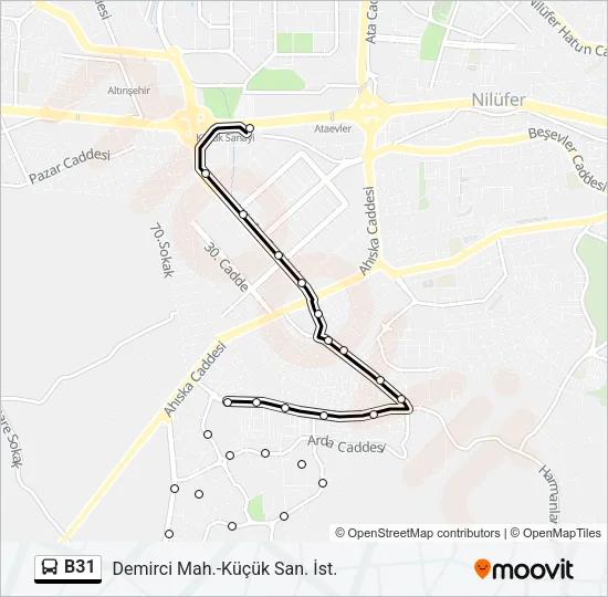 B31 Bus Line Map