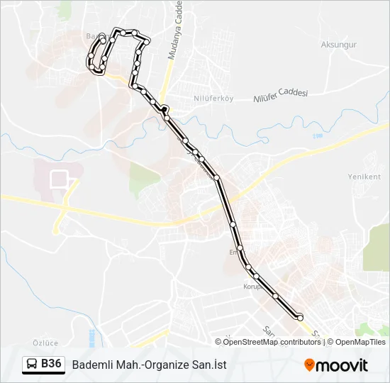B36 Bus Line Map
