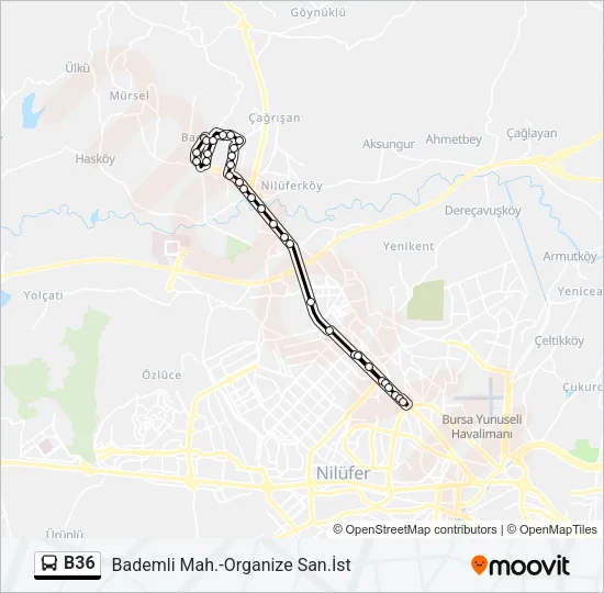 B36 Bus Line Map