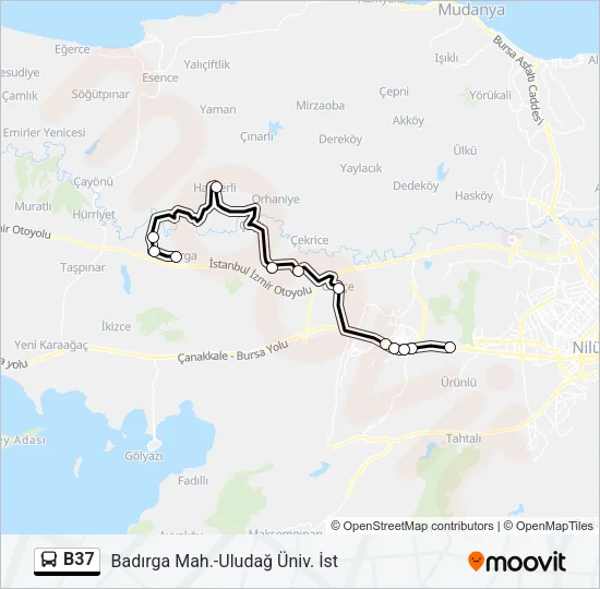 B37 Bus Line Map