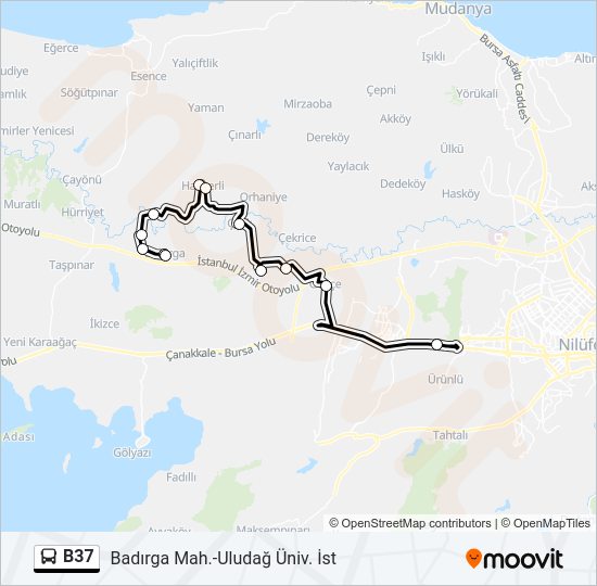 B37 otobüs Hattı Haritası