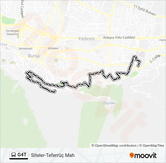 G4T Bus Line Map