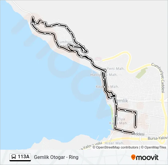 113A Bus Line Map