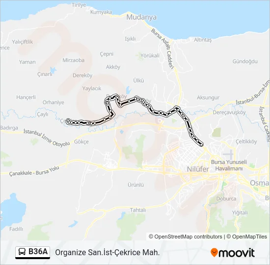 B36A Bus Line Map