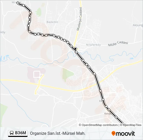 B36M Bus Line Map