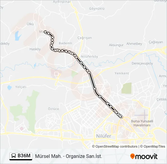 B36M Bus Line Map