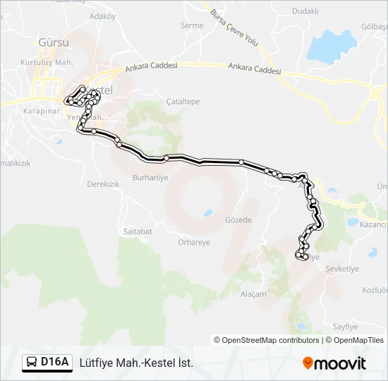 D16A Bus Line Map