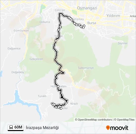 60M Bus Line Map