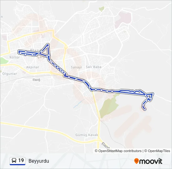 19 Bus Line Map