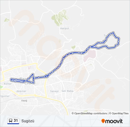 31 bus Line Map