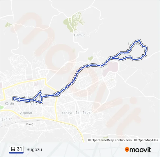 31 Bus Line Map