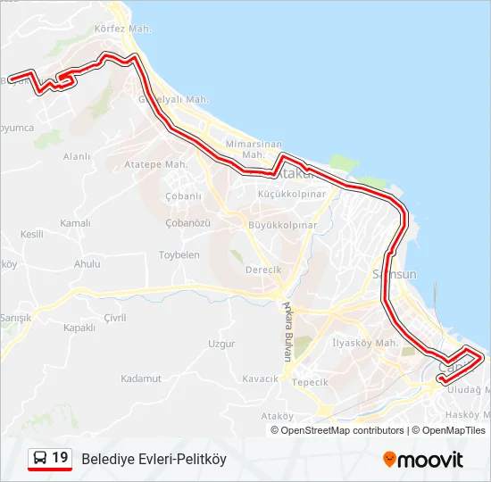 19 Bus Line Map