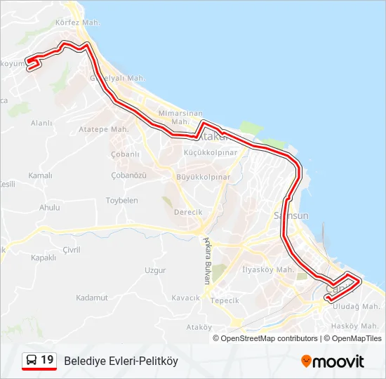 19 Bus Line Map