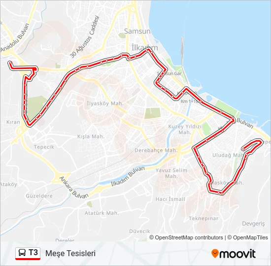 T3 Bus Line Map