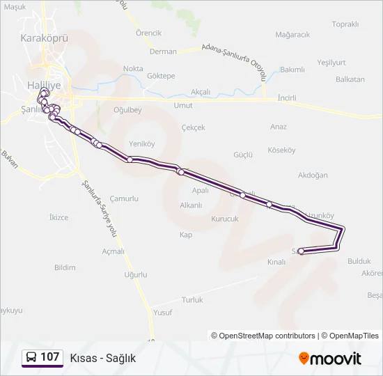 107 Bus Line Map