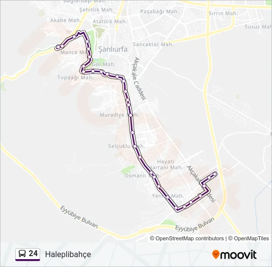 24 Bus Line Map