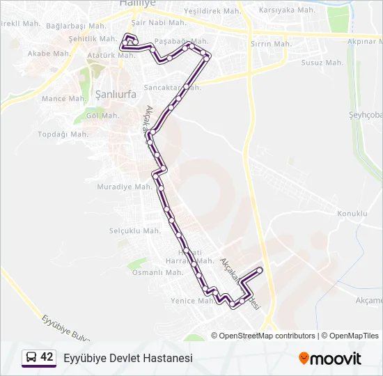42 Bus Line Map