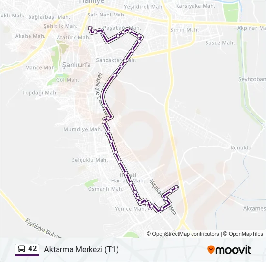 42 Bus Line Map