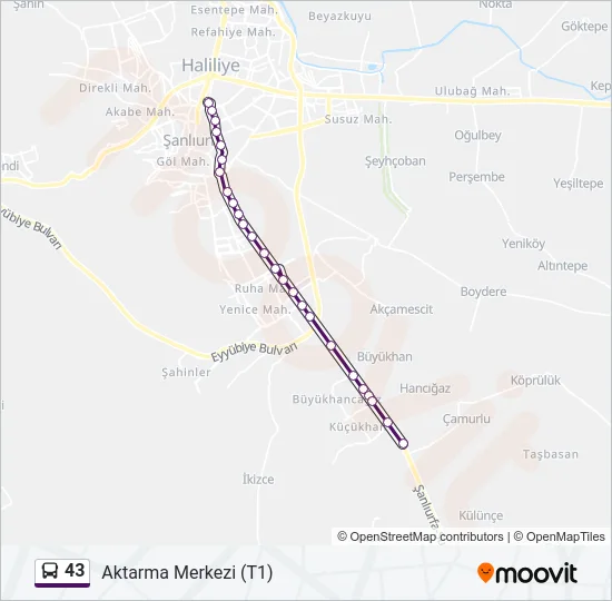43 Bus Line Map