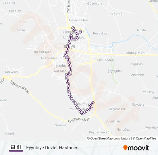 61 Bus Line Map