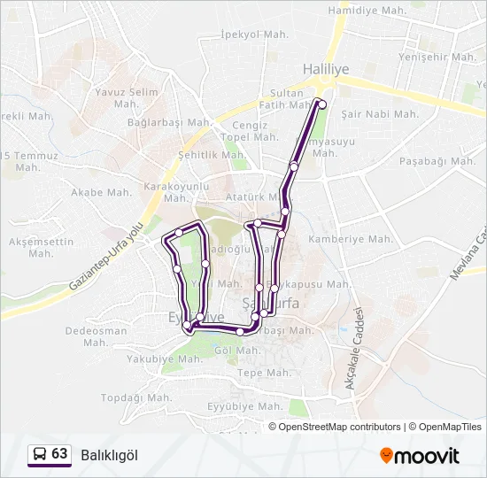 63 Bus Line Map