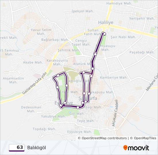 How to get to Betgol in Santarém by Bus?