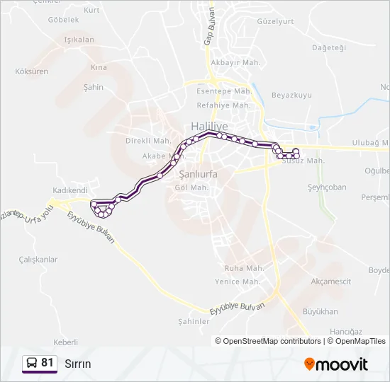 81 Bus Line Map