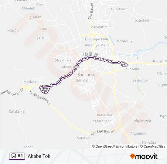 81 Bus Line Map
