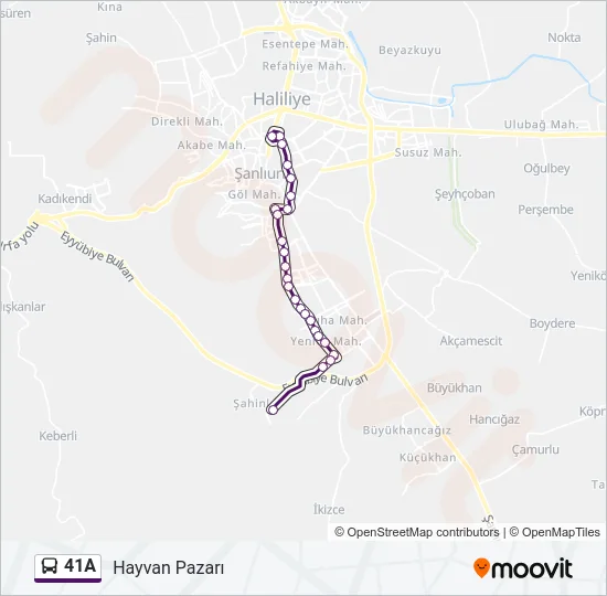 41A Bus Line Map