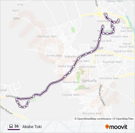 36 Bus Line Map
