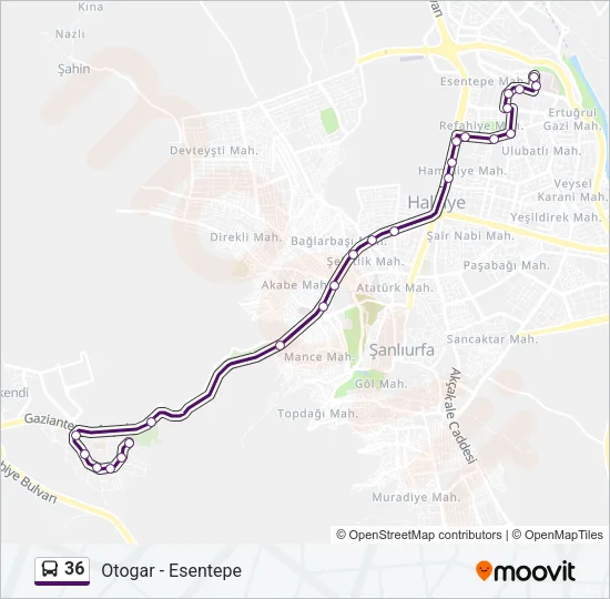36 Bus Line Map